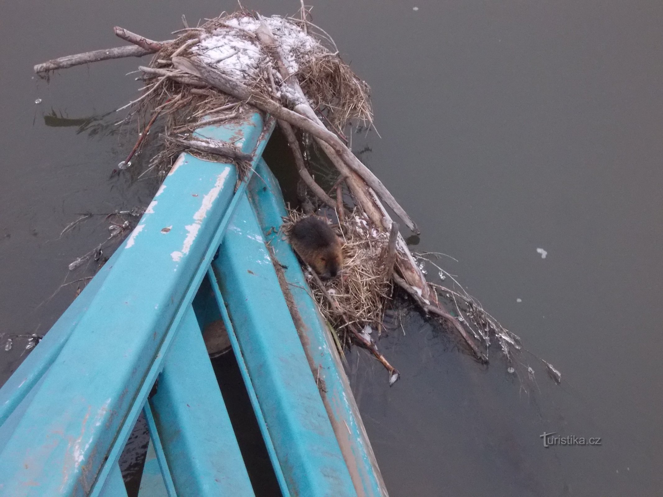 résident à la passerelle