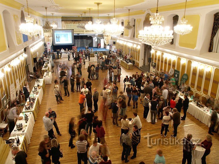 Vinos premiados y sumilleres reconocidos en la Fiesta del Vino del Castillo