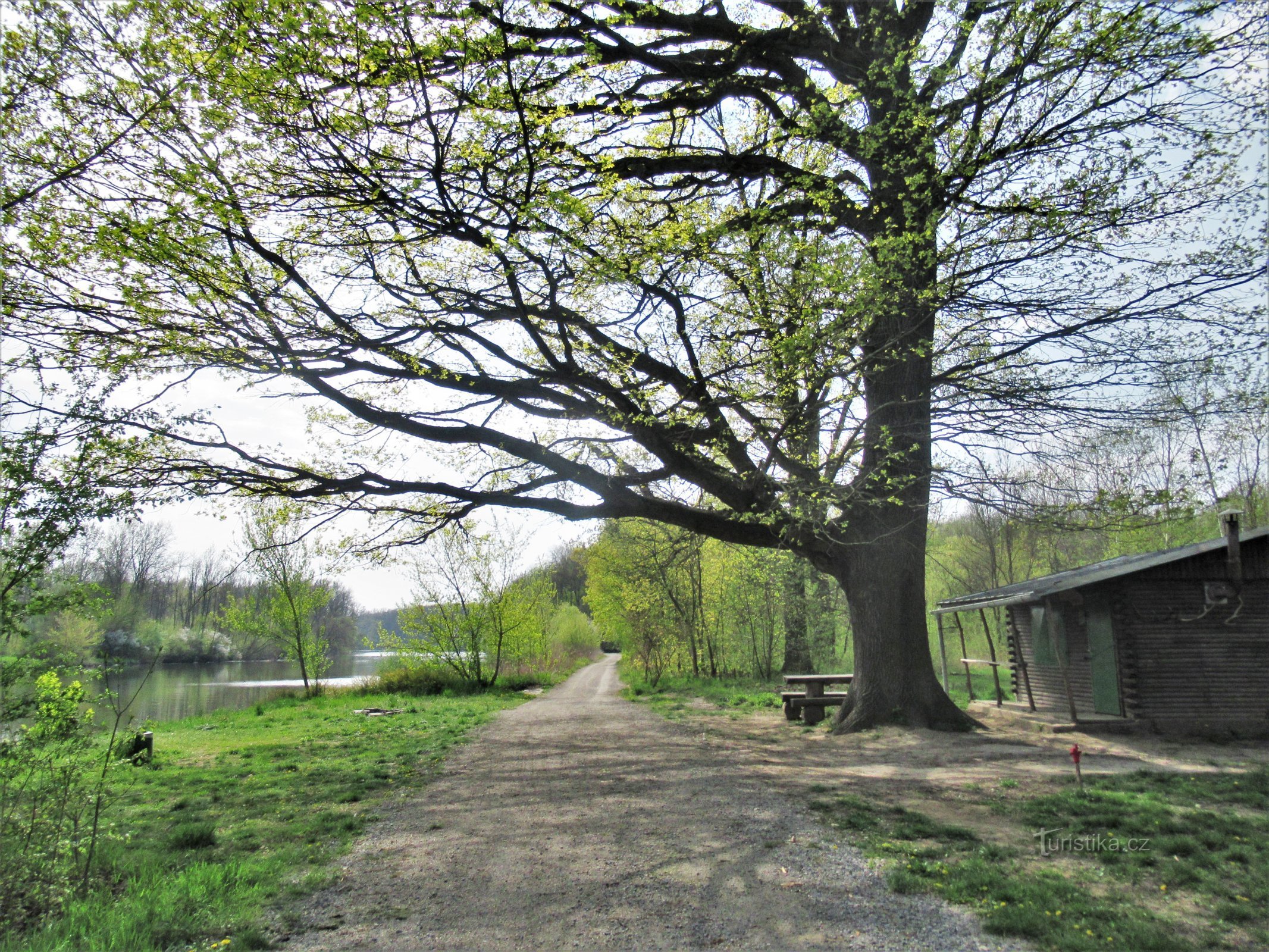 Forêt d'Očovský