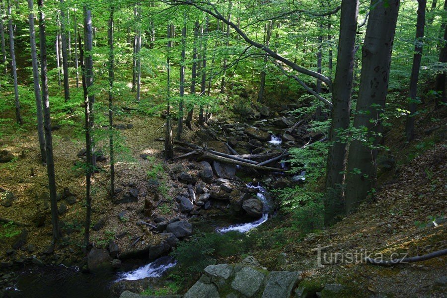 De Bártlová bouda à travers la vallée de Hájené potok jusqu'à Paličník