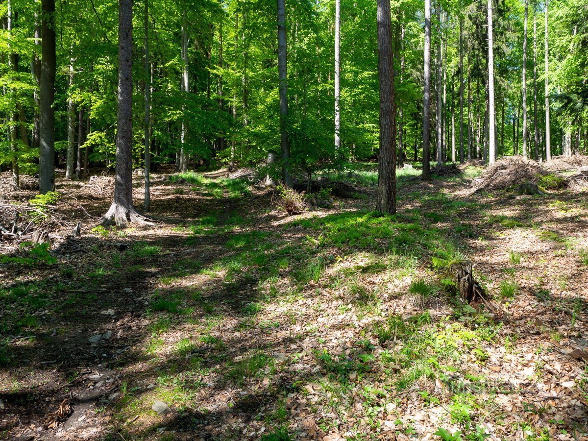 Valkoisesta kivestä