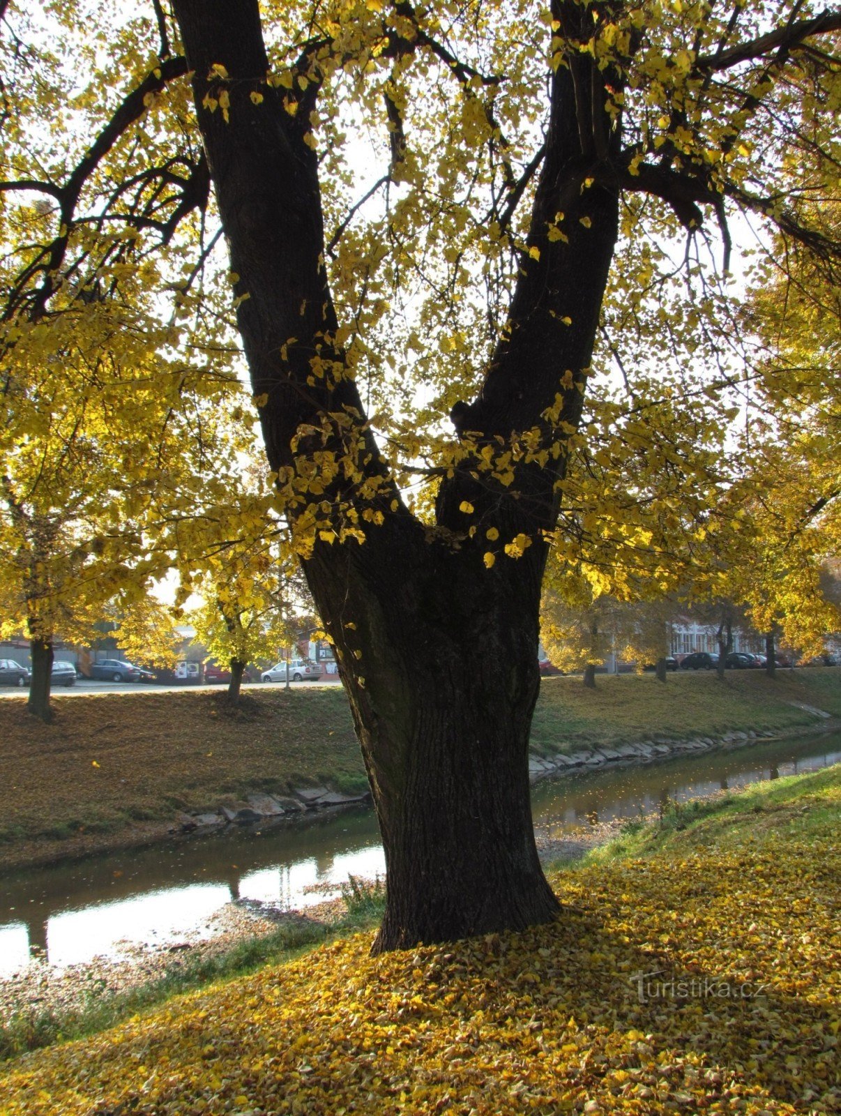 从 Dřevnice 河岸经过 Prštné 和池塘到 Zlín