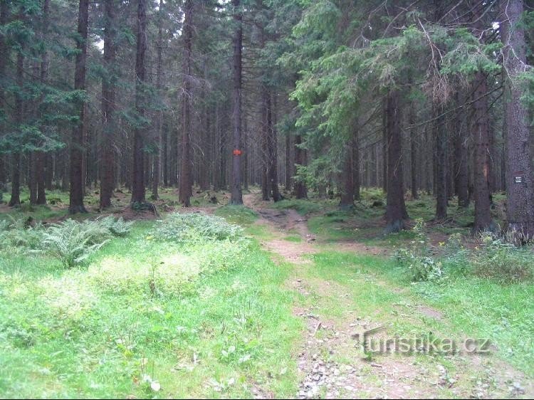 De la source bouillonnante aux chaires