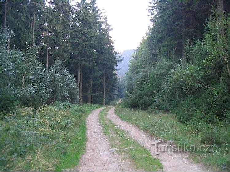 Від Čertové kamené (від Jeseník) до покажчика, далі нижче Zelený