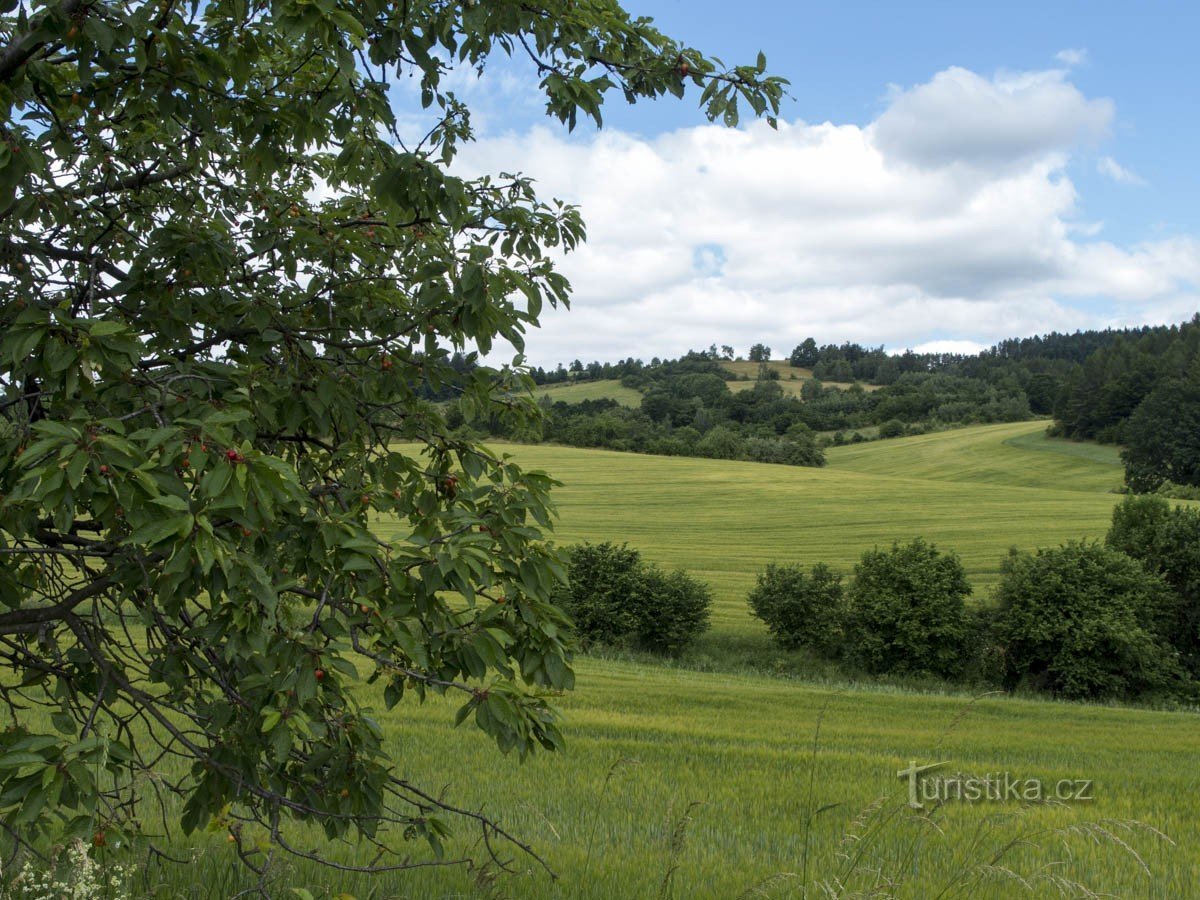 Od cesty nad Bohutínem