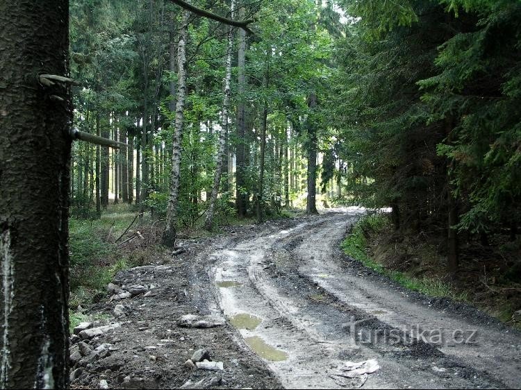 Van Chlum naar de wegwijzer