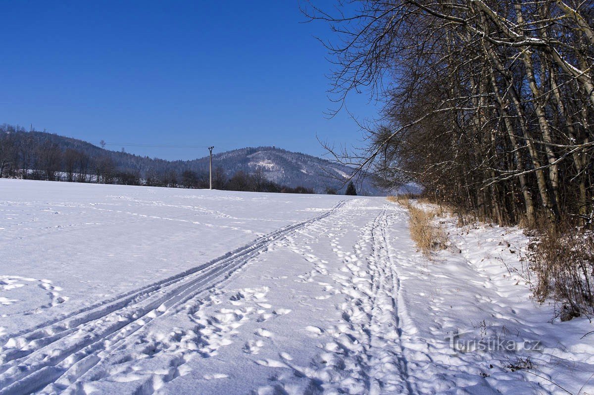 De cichta Senová