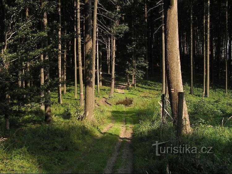 Hodslavicétől az útjelző tábláig