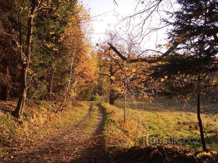 из Голе врх в Кубаньков