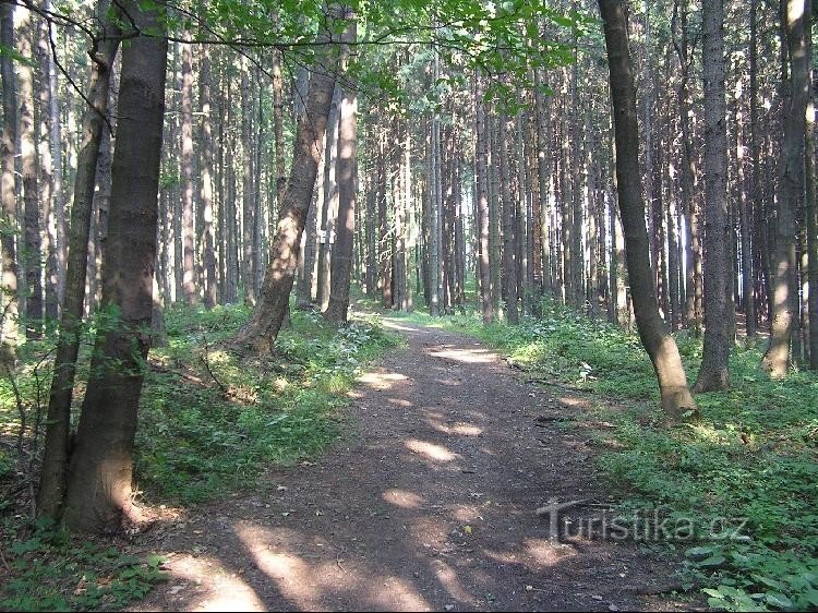 Hostašovice-től az útjelző tábláig