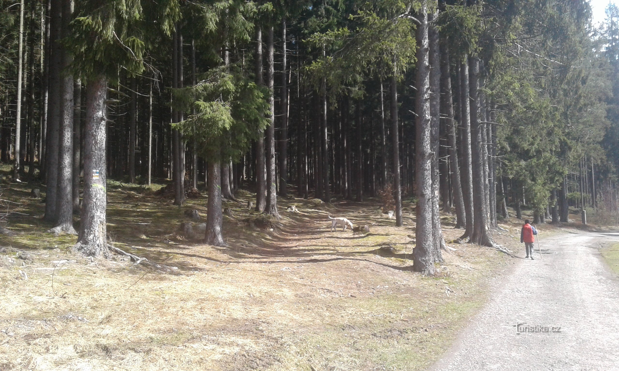 Från hotellet BouCZECH på Luč.