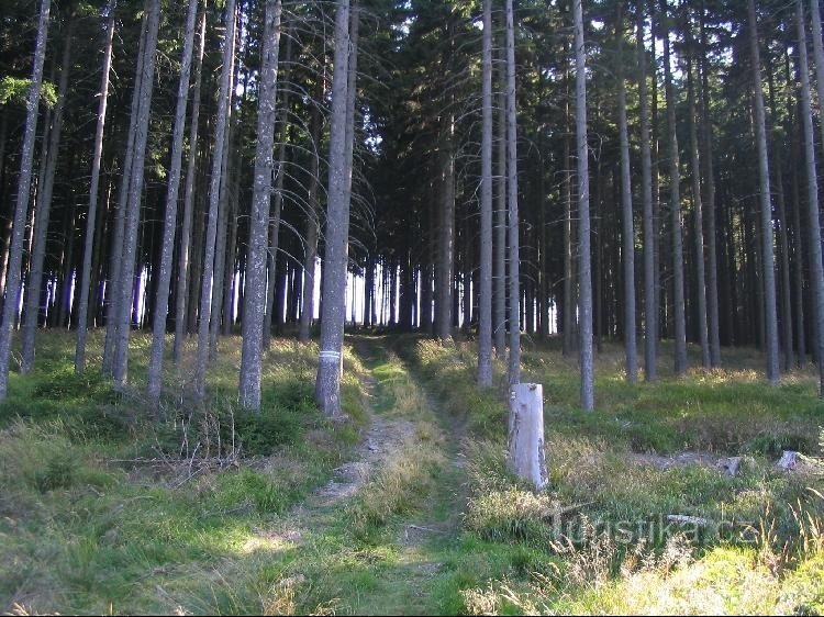 Von der Grenzstraße bis zum Wegweiser