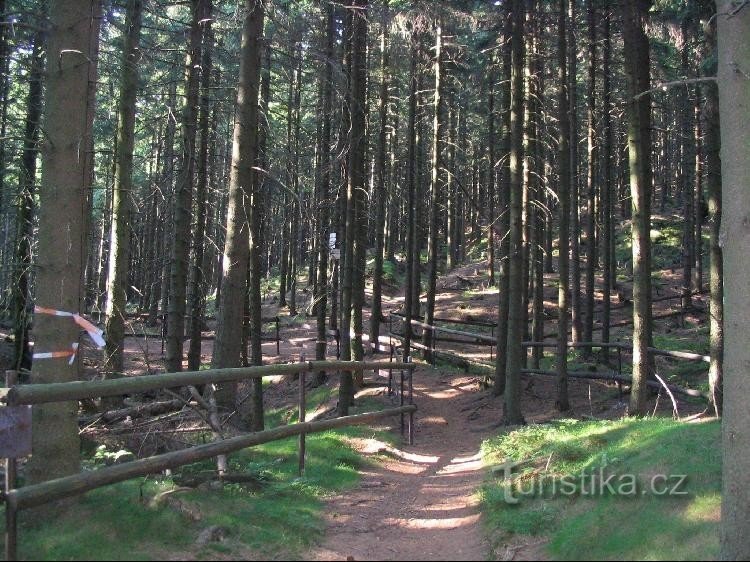 Von der Hřebene bis zum Wegweiser