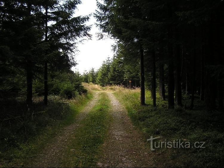 Od Jelenega loučka do smerokaza