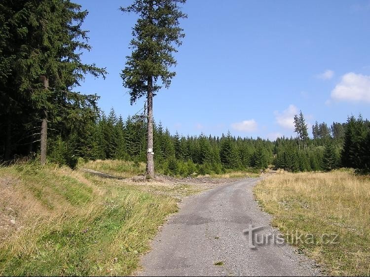 De Jeleny louček (de Bílý potok) até a placa de sinalização