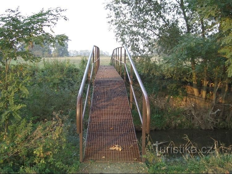 Van de Jesenický-vijver over de Odra naar de meanders