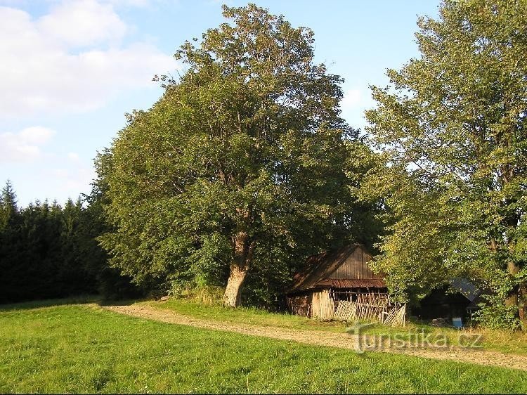 Från Kozlovice till vägvisaren