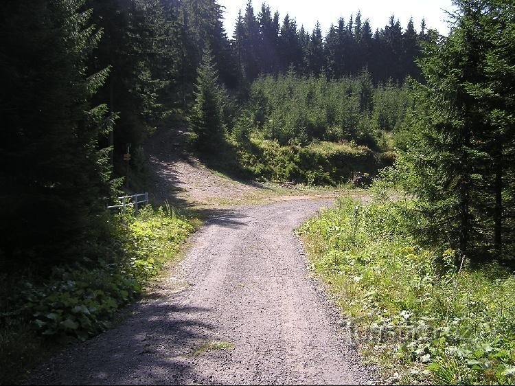 Vom Abschied Christi bis zum Wegweiser