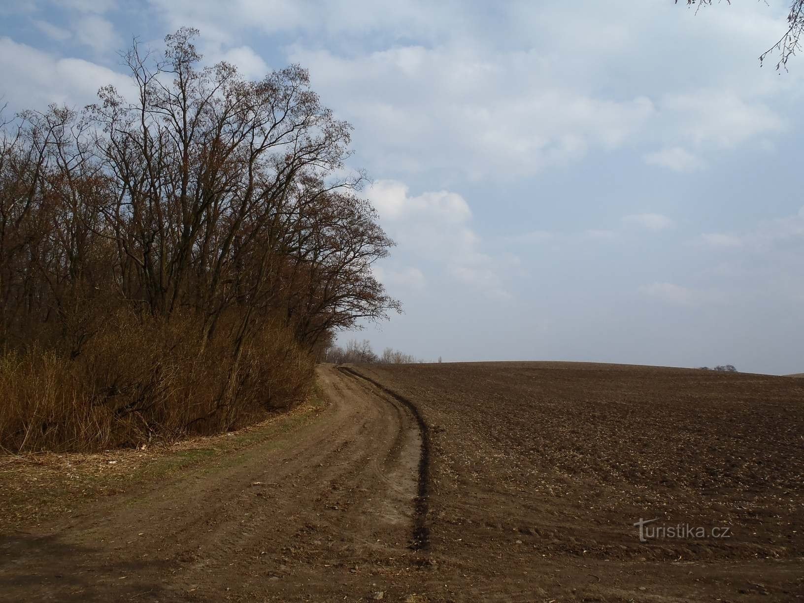 від хреста під липою до дороги з Блажовіце до Збишова - 23.3.2012 р.