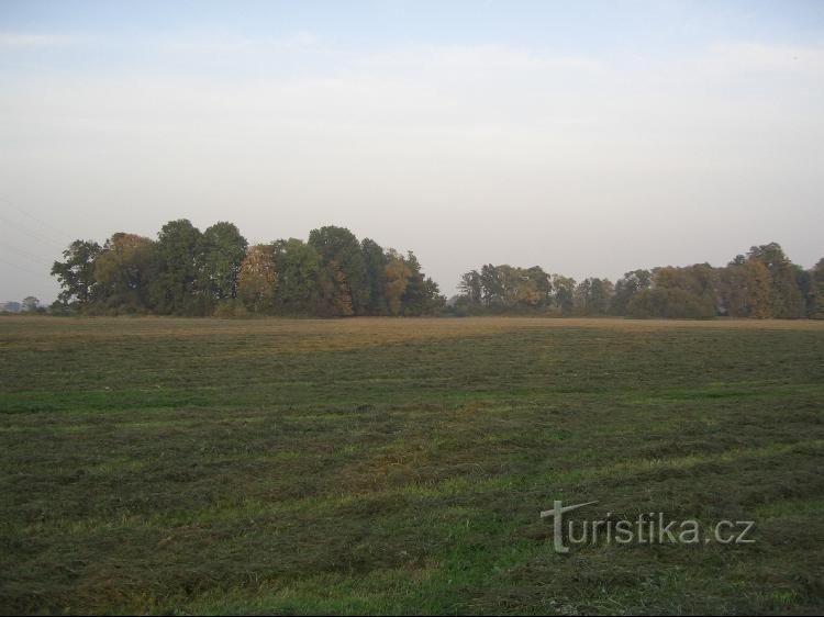 Od kładki przez pola do meandrów