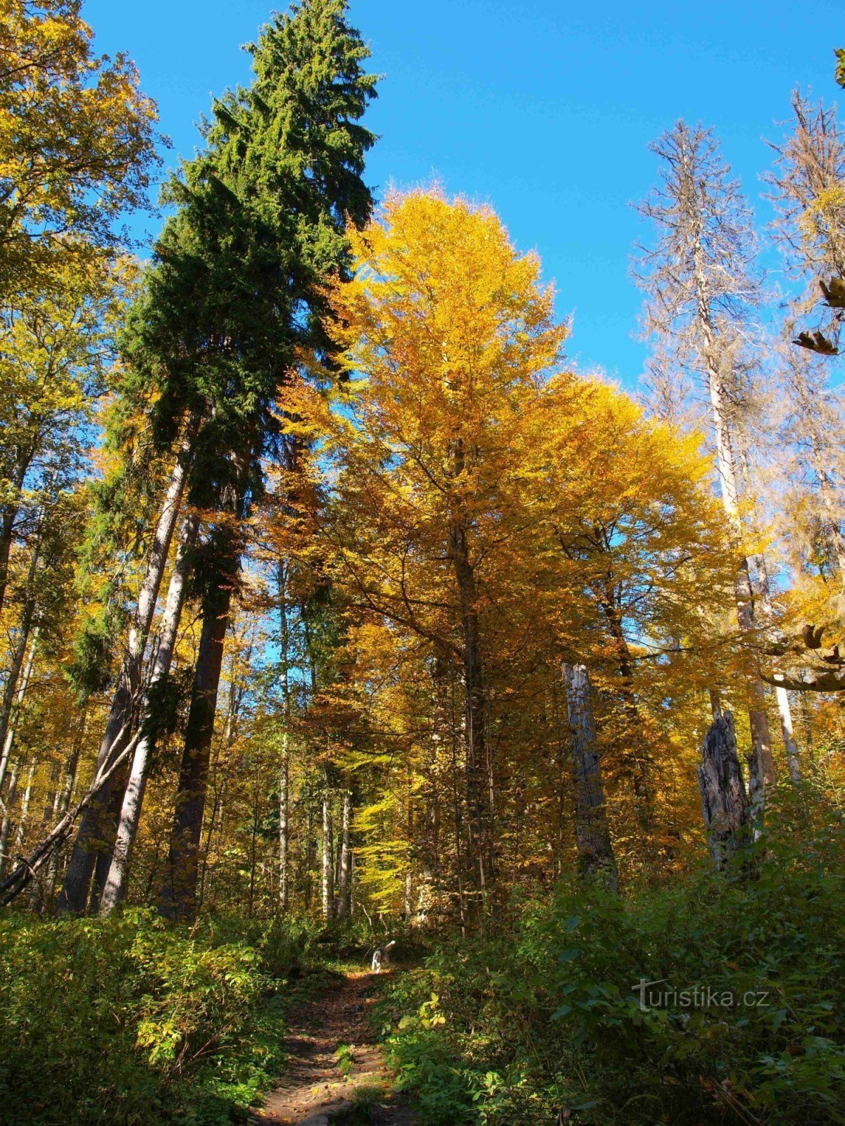 S kolesarskega parkirišča se sprehodimo do kapelice in skale