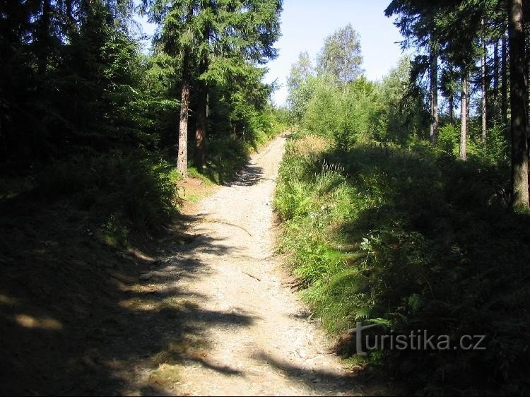 From Peter's houses to the signpost and further to the top of Biskupská Kupa