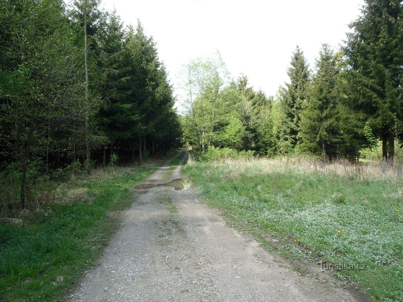 Från gångtunneln under järnvägslinjen till Kolařík-dammarna - 6.5.2012 maj XNUMX