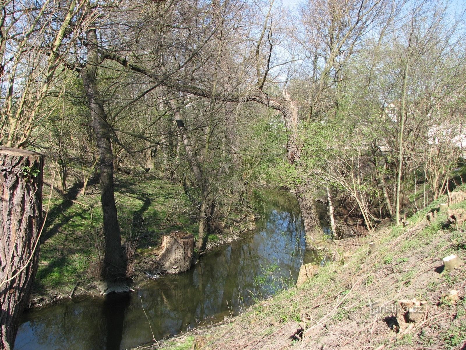 Od tamy do stawów