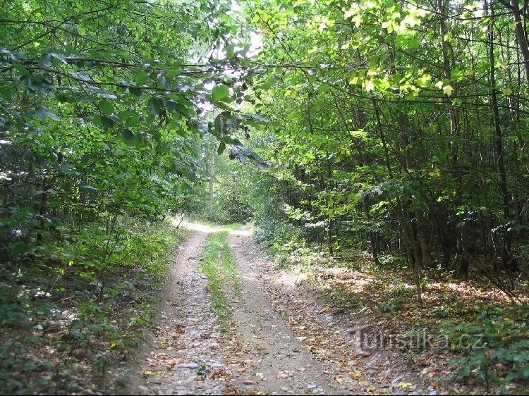 从雷绍夫到路标，然后到 Valšovské 矿