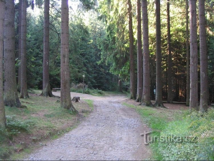 De la route forestière à la réserve de gibier jusqu'à l'entrée de la réserve, plus loin jusqu'à Rejvíz, tout le long de la route