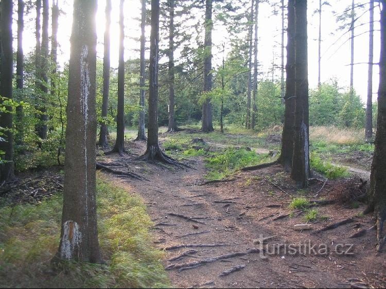 Від перехрестя на заповіднику до Блесковця