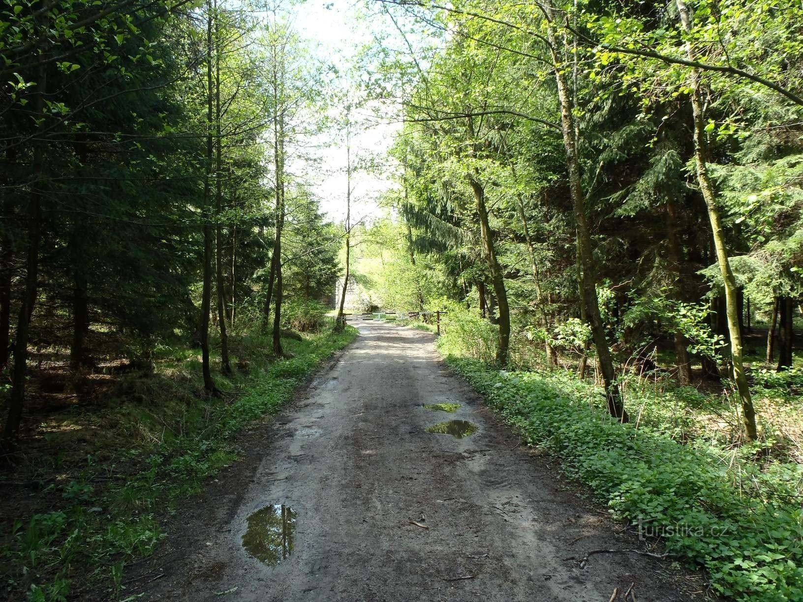 Från korsningen vid Loučské-dammen till gångtunneln under järnvägslinjen - 6.5.2012