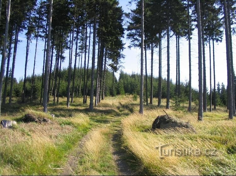 Van de wegwijzer naar Salt Mountain