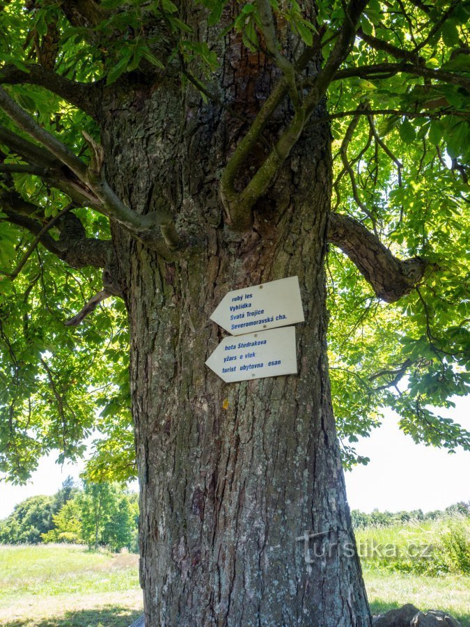 Vanaf de wegwijzer Pod Janem