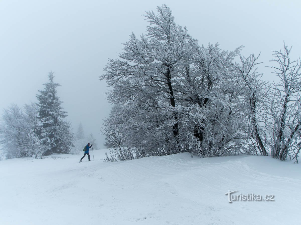 From Šerlich to Panská pole