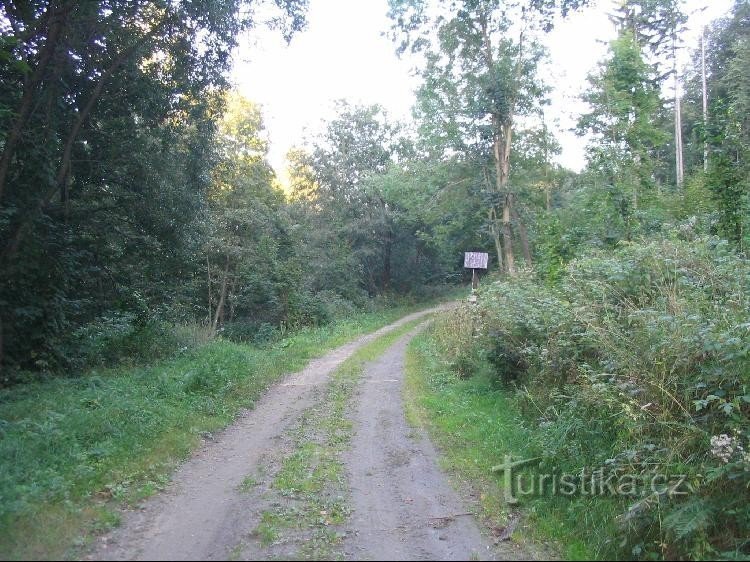 Od Sobotína, doleva do Vernířovic, doprava na Smrčinu