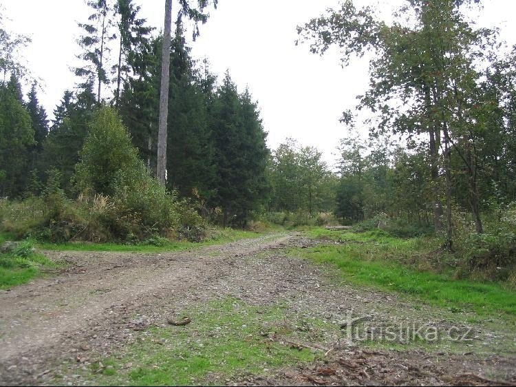 Strálecký potoktól a kereszteződésig és tovább Rýmařovig