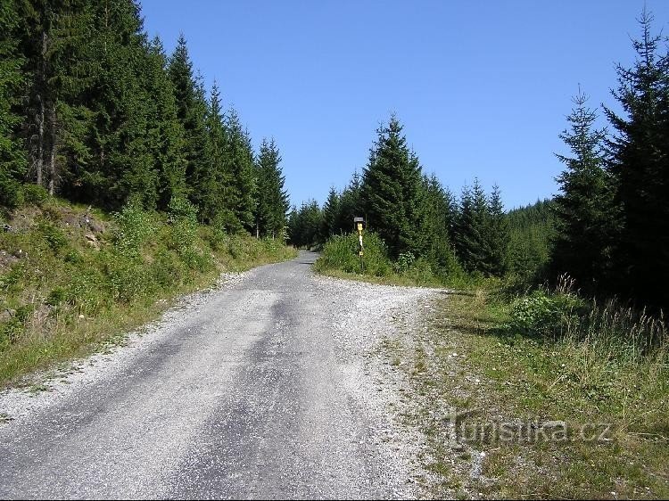 Von Šumné potok bis zum Wegweiser, geradeaus Pod Orlík-potok, rechts zum Pásm Orlíka