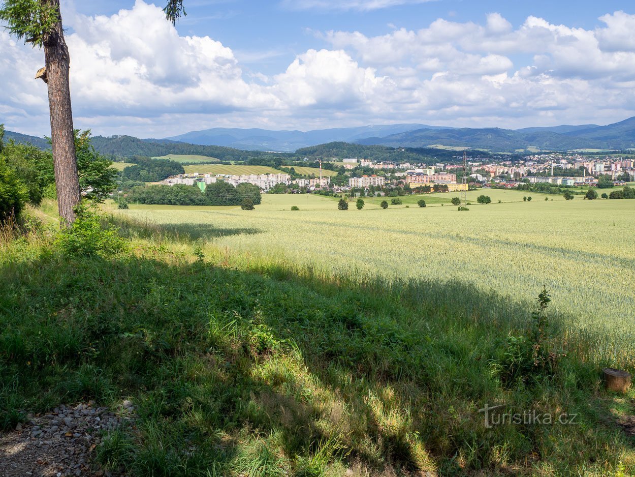 Vom Fuß des Hains