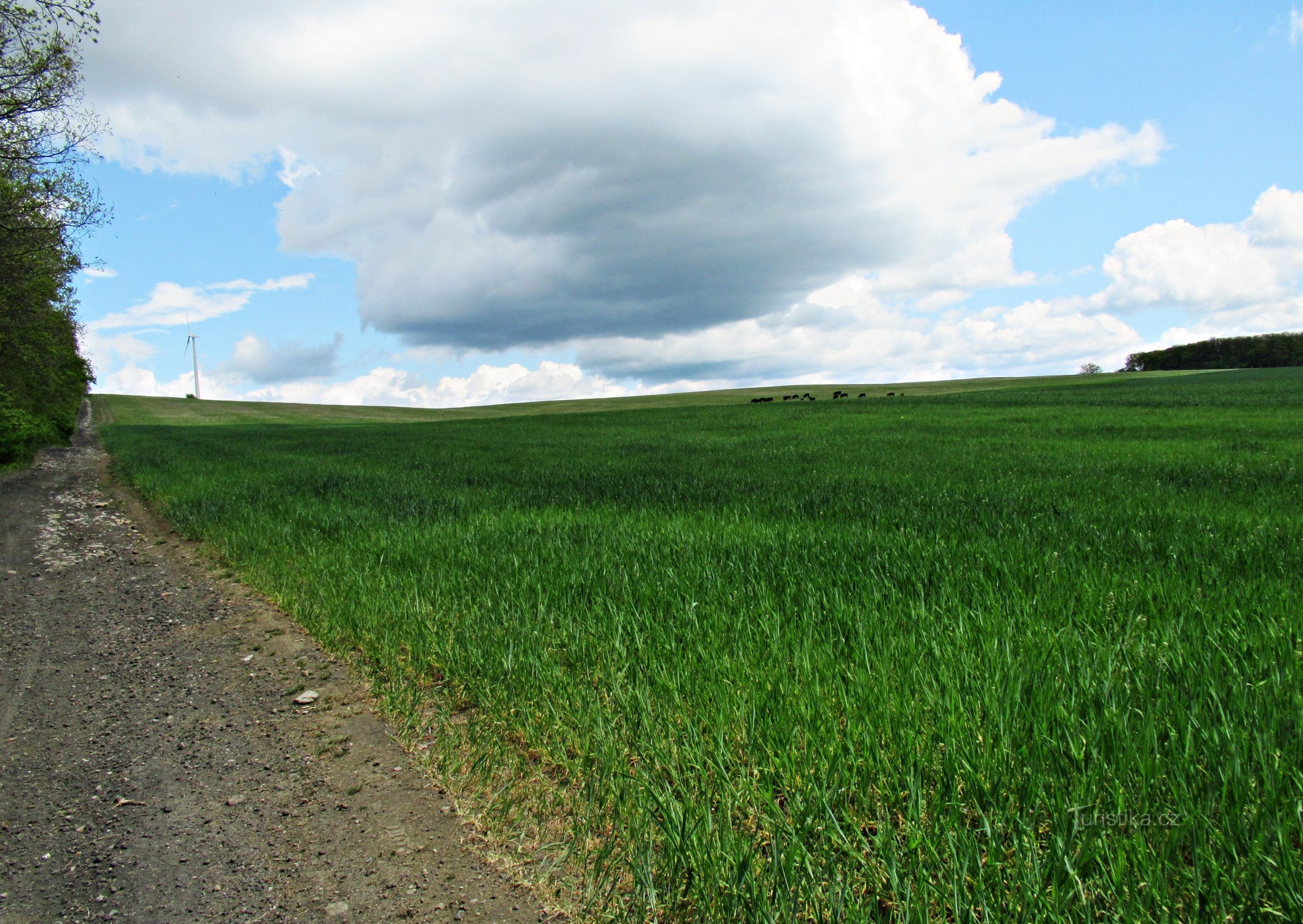 From the windmill above Kuželov through the Bojiště hill with a view to the Drahy lookout