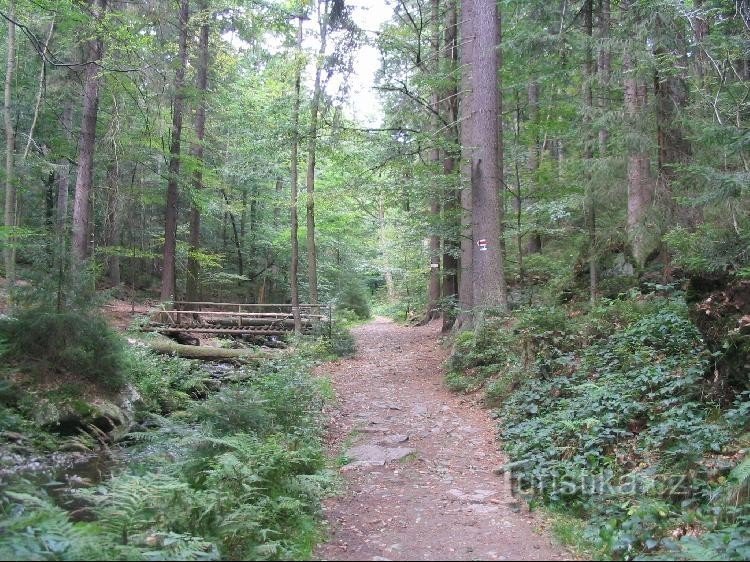 Depuis les cascades, plus loin vers le village de Skály