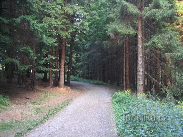 From the entrance to the reservation to the signpost