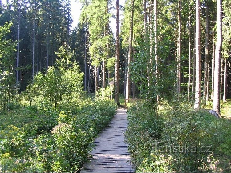 Desde a entrada da reserva até à placa de sinalização