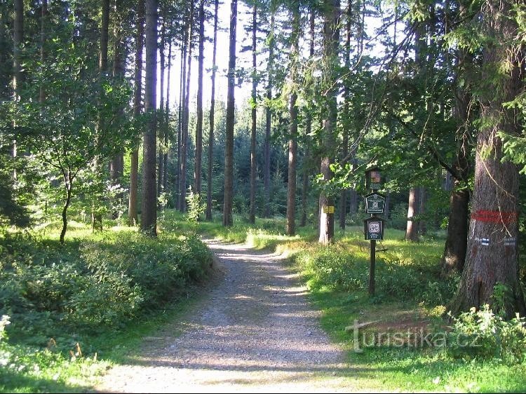 Skrenite u plavo = s glavne ceste do ulaza u rezervat