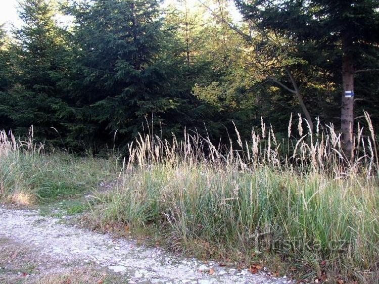 Sla af naar Travná: na 100 stappen vanaf de kruising Nad Travnou gaat een blauw bord uit