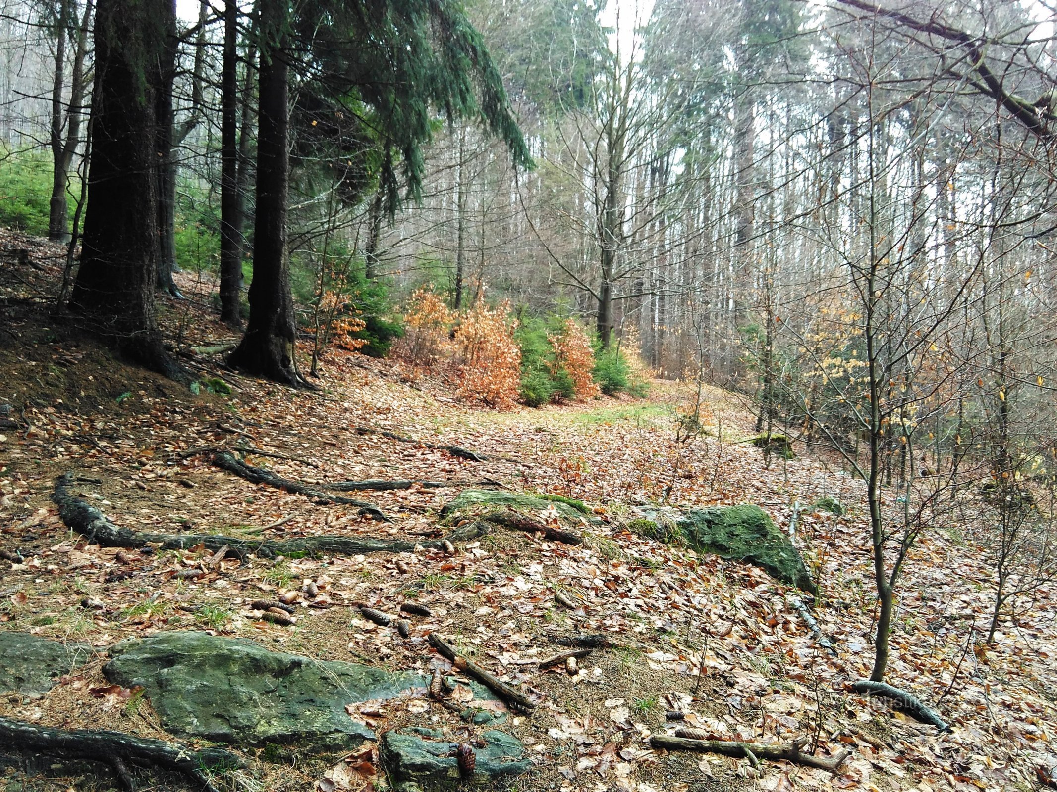 Abbiegen zur Höhle Vinný sklep