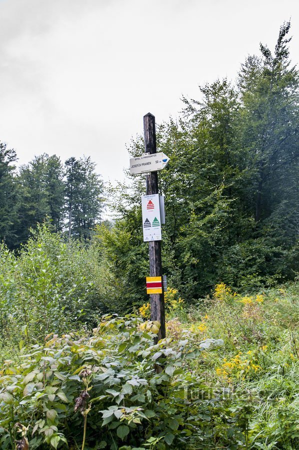 Détour vers la source