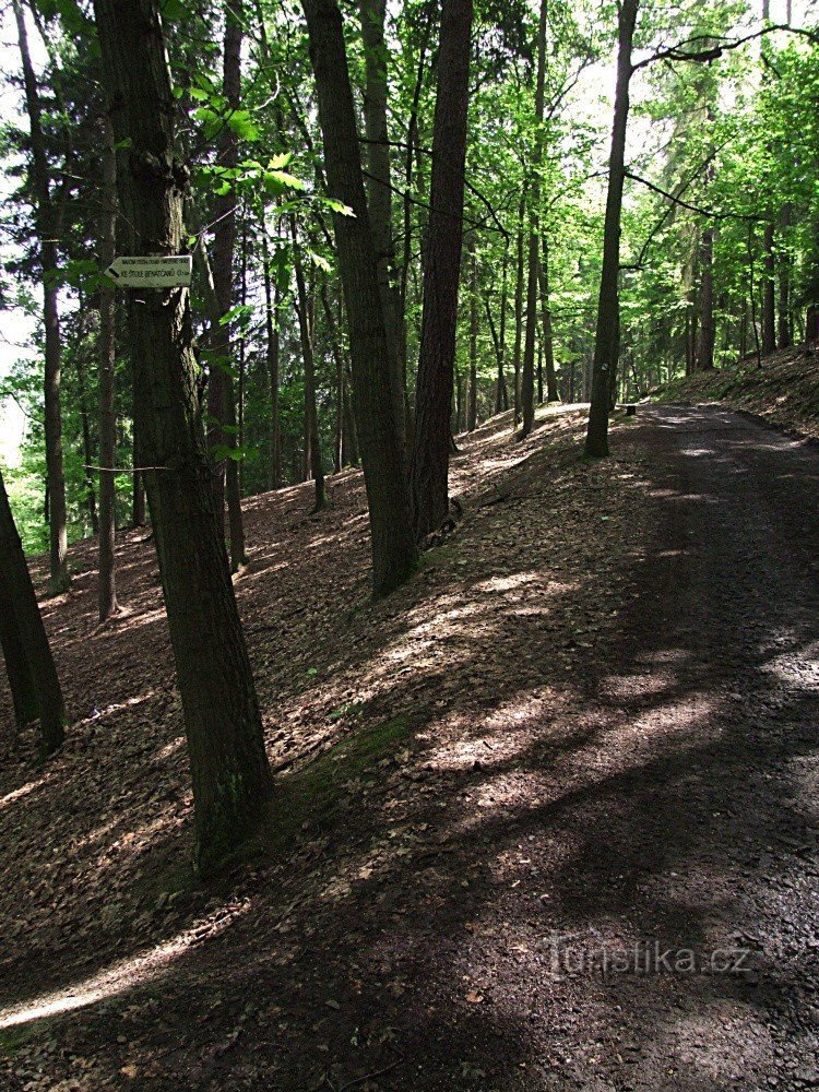 Omweg naar de tunnel van de Venetianen