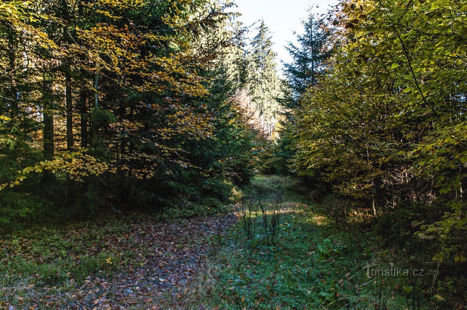 Vänd dig till Bleskovec