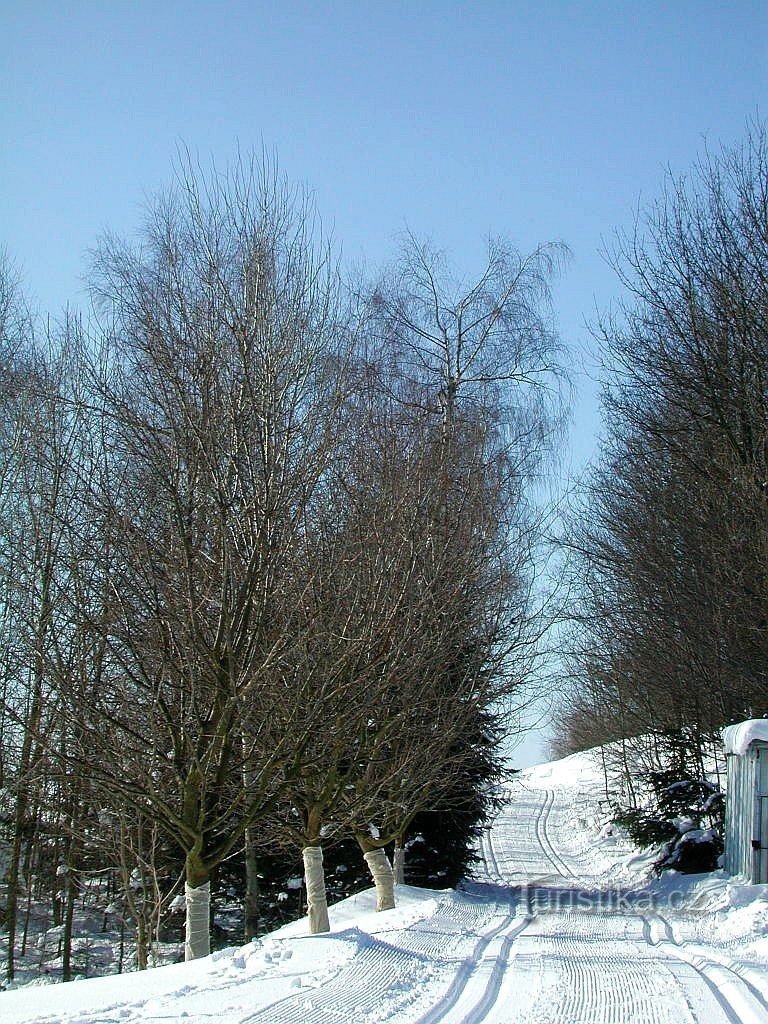 Filiale di Radňovice - foto V. Srnský